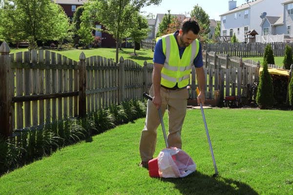 Yard cleanup in progress